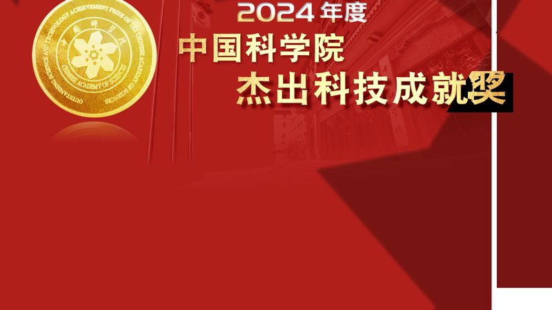 企业搜索安全配置：构建安全高效的搜索生态**